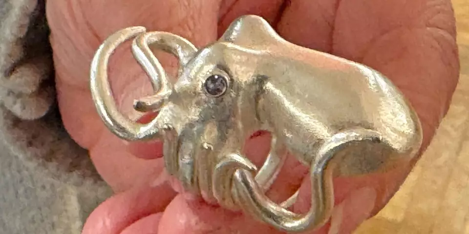 Ein Oktopus als Ring, der sich um den Finger wickelt. Foto: zv