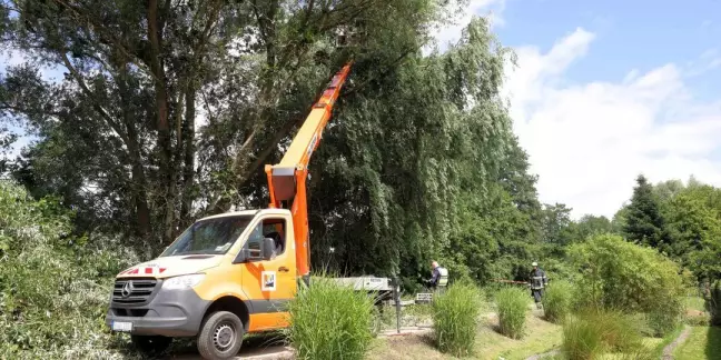 Am Wohlerstieg ist am Donnerstag ein Ast bei Baumfällarbeiten in 12 Metern Höhe auf einen Hubsteiger gefallen. Foto: Lenthe-Medien/Reimer