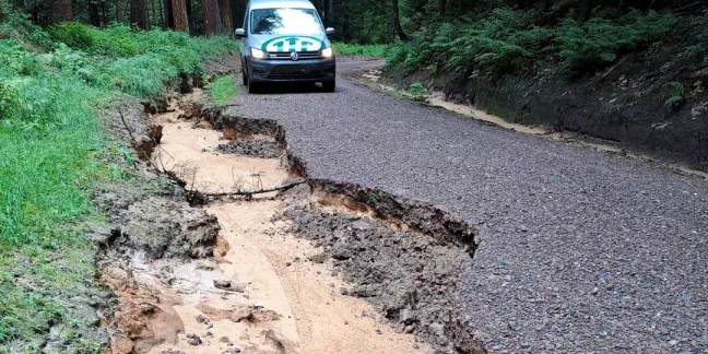 Die intensiven Regenfälle der vergangenen zwei Tage haben im Norden der Revierförsterei Rosengarten im Niedersächsischen Forstamt Sellhorn deutliche Schäden hinterlassen. Besonders betroffen ist der nördliche Abschnitt des Neugrabener Weges. Foto: Forstamt Sellhorn