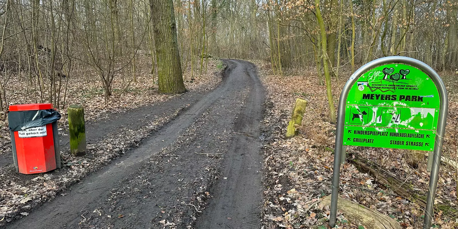 Der von Reifen zerfurchte Waldweg. Foto: Privat