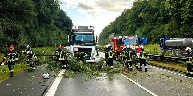 Ein Baum war über alle Fahrstreifen gefallen und hatte dabei einen Lkw und einen Pkw beschädigt.  Foto: Feuerwehr