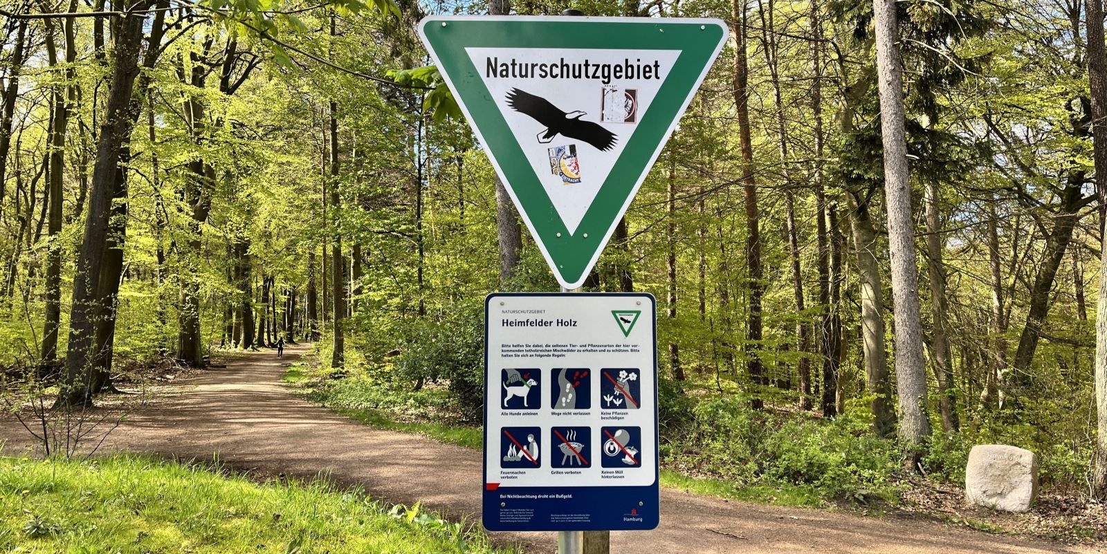 Das Naturschutzgebiet Heimfelder Holz. Foto: Christian Bittcher