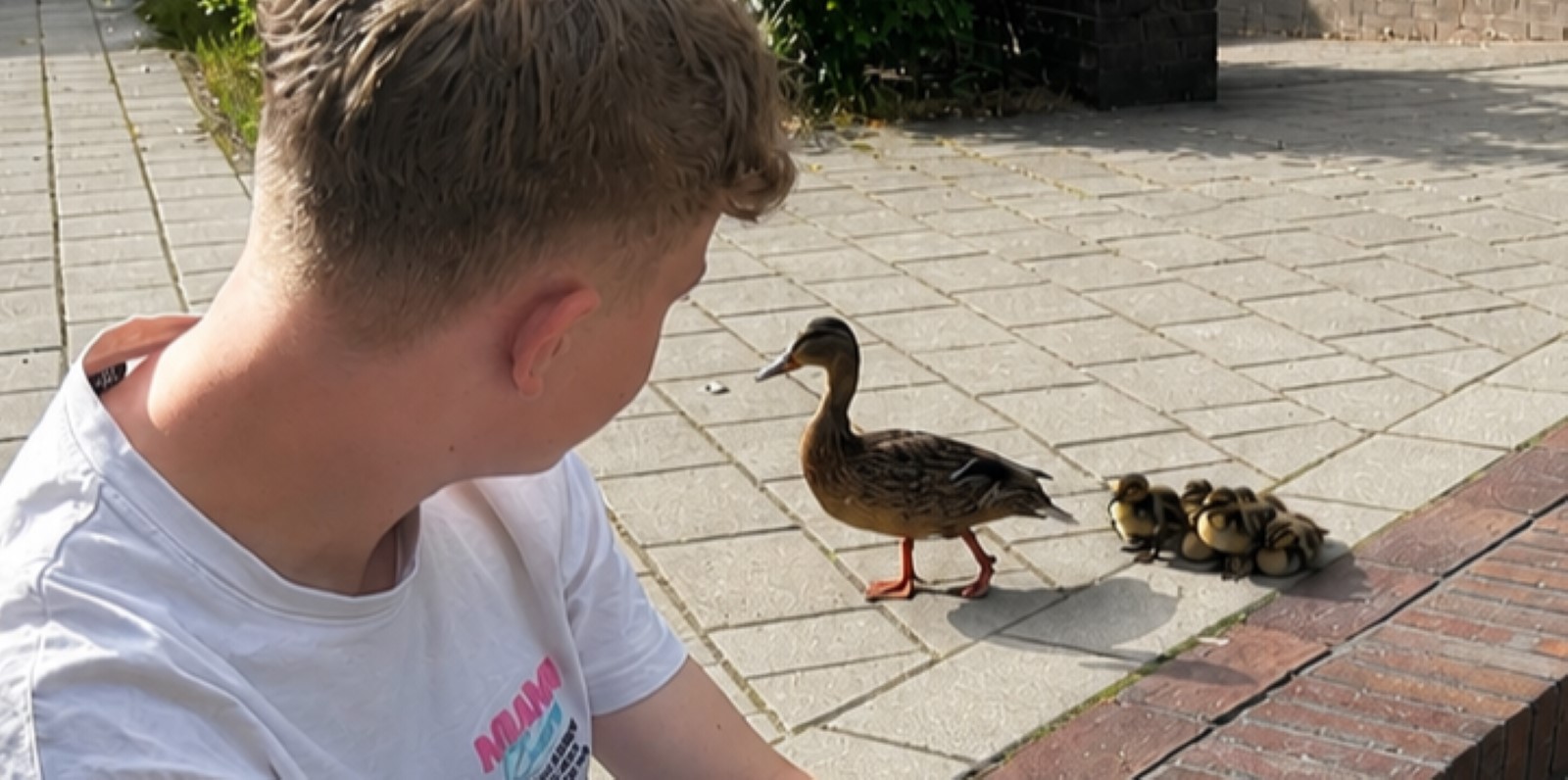 Rettungsaktion für eine Entenfamilie am FEG. Foto: privat