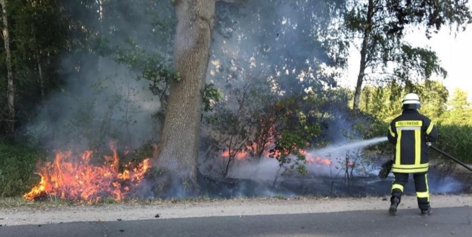 Bereits ein kleiner Funke kann ausreichen, um trockenes Gras, Unterholz oder Waldflächen in Brand zu setzen. Foto: Feuerwehr